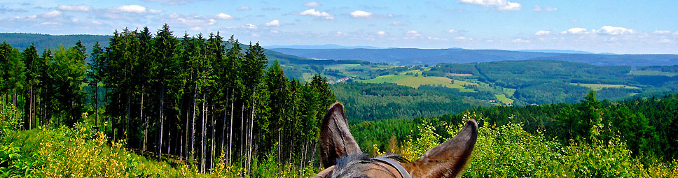 Fühlen wie die Spessarträuber