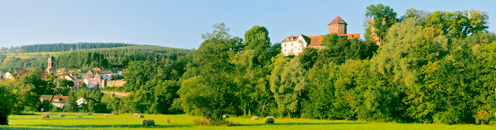 Blick über die Auen der Sinn auf die Altstadt und Burg Rieneck