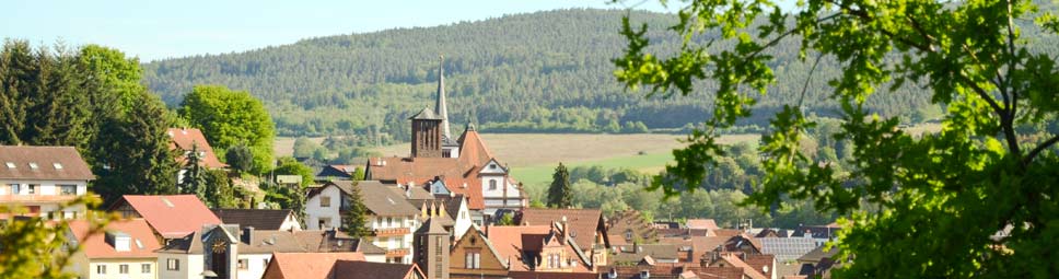 Blick vom Mäusberg hinüber zu den beiden Kirchtürmen von Burgsinn