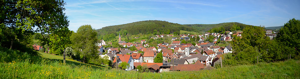 Blick auf den Ort Fellen aus Richtung Südwesten