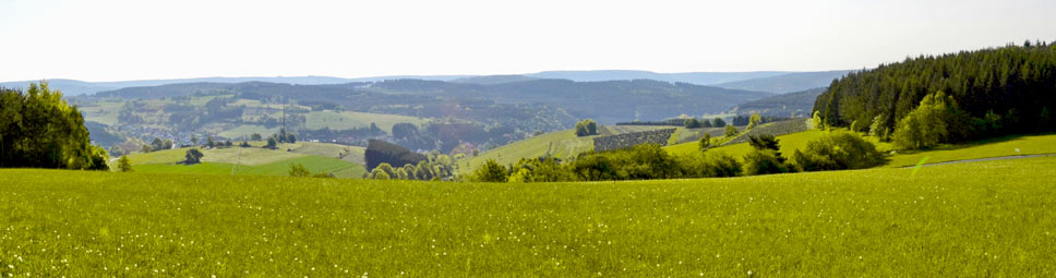 Blick über die grünen Hügel des Spessart bei Aura im Sinngrund