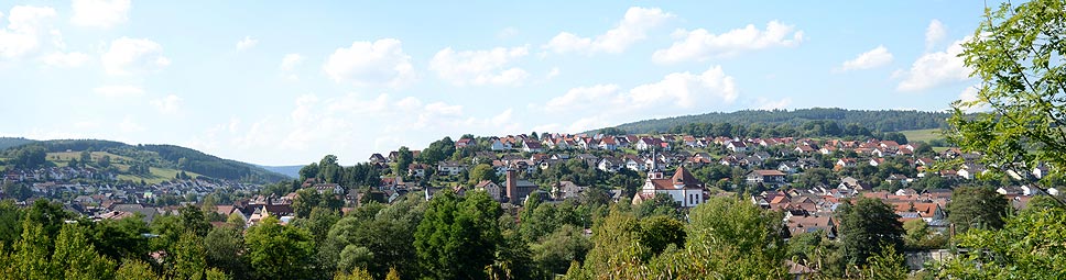 Burgsinn - Kleinzentrum im Sinntal