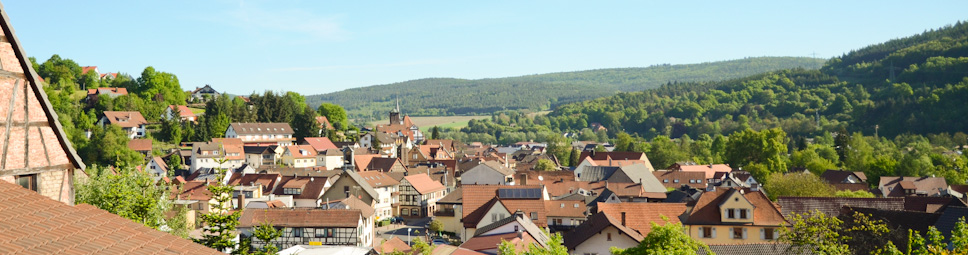 Blick vom Mäusberg auf den Ortskern von Burgsinn