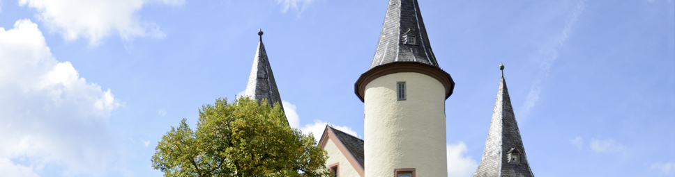 Kurmainzer Schloss in Lohr am Main