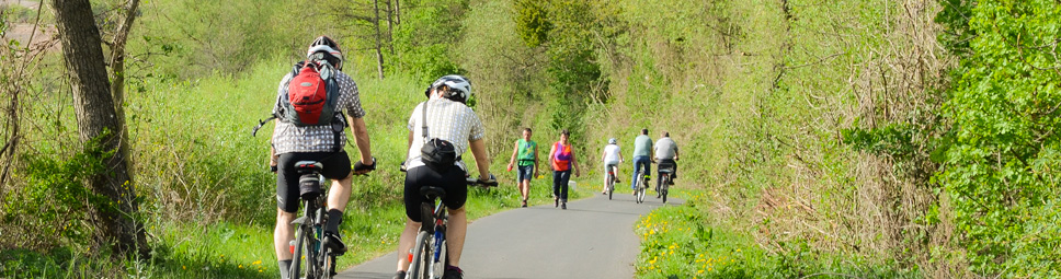 Fahrradfahrer auf dem Maintal-Radweg