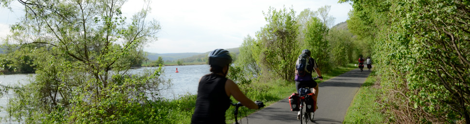 Fahrradfahrer auf dem Maintal-Radweg