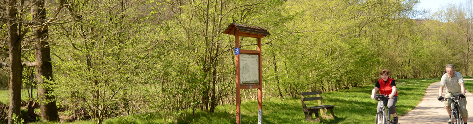 Fahrradfahrer auf dem Sinngrund-Radweg