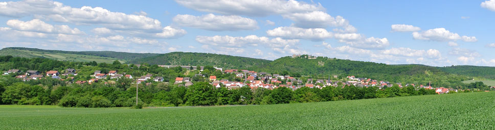 Gössenheim mit der Burgruine Homburg