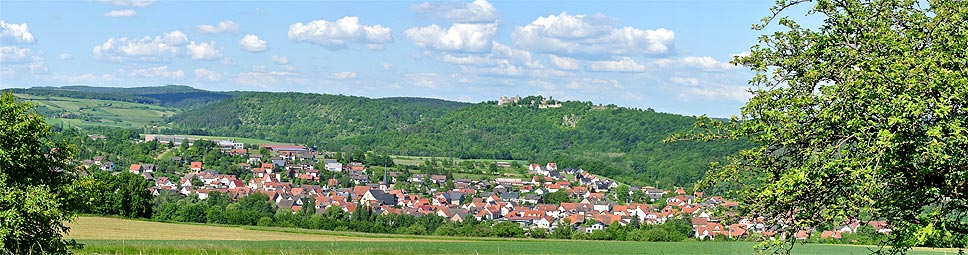 Gössenheim mit der Burgruine Homburg