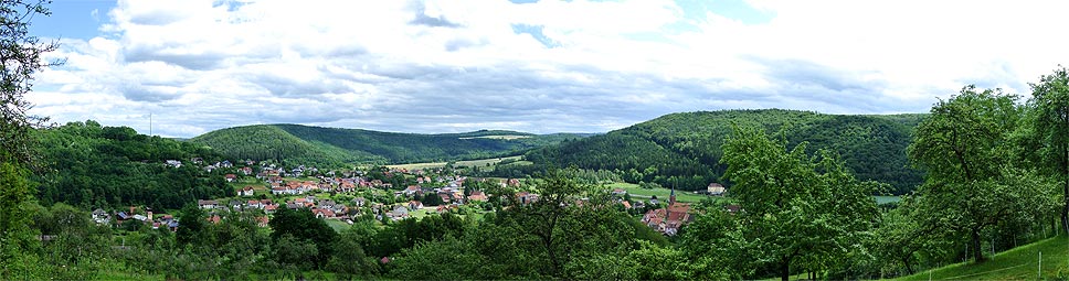 Fränkisches Saaletal bei Gräfendorf