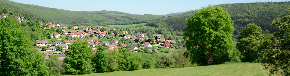 Blick auf Gräfendorf im Saaletal