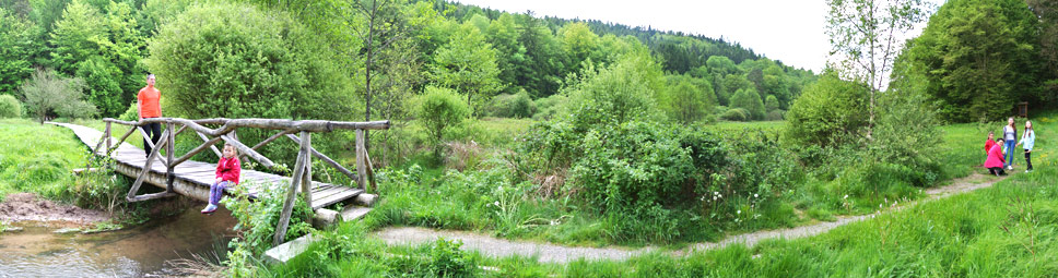 Herrliche Wanderwege im Naturpark Spessart