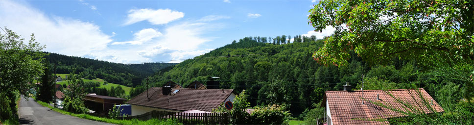 Heckmühle, der kleine Weiler im Schondratal