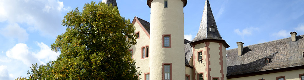 Schloss mit Spessartmuseum in Lohr