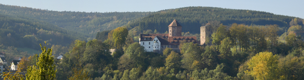 Blick auf Burg Rieneck