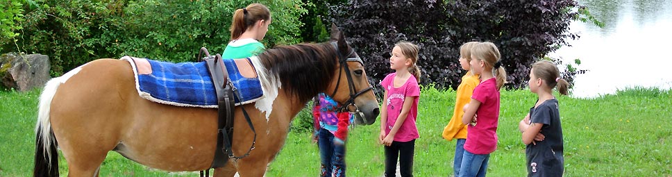 Reitunterricht in der herrlichen Natur des Spessarts