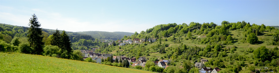 Panoramablick über Rieneck mit dem Herrgottsberg