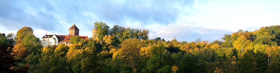 Alt Weiber Sommer im Sinngrund