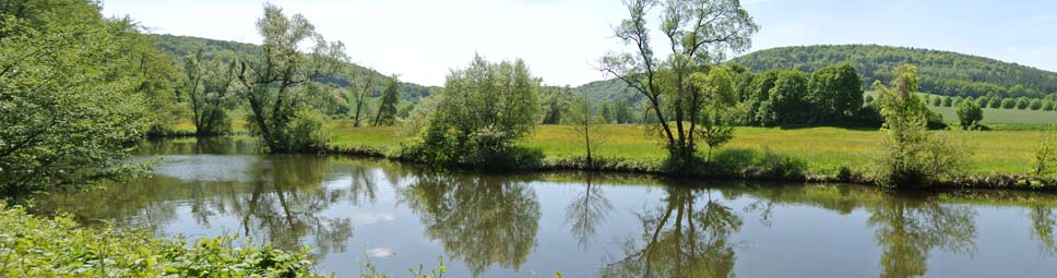 Blick über die Wasseroberfläche der Fränkischen Saale