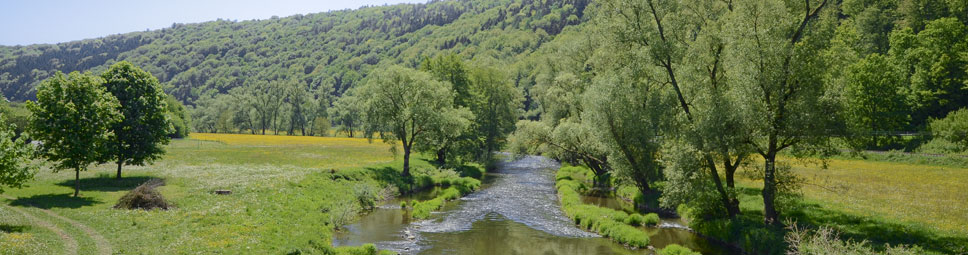 Blick in das Tal der Fränkischen Saale bei Schonderfeld