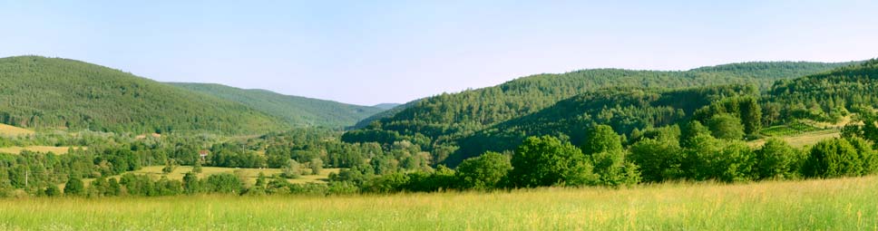 Panoramablick über Wiesen und Hügel im Sinngrund