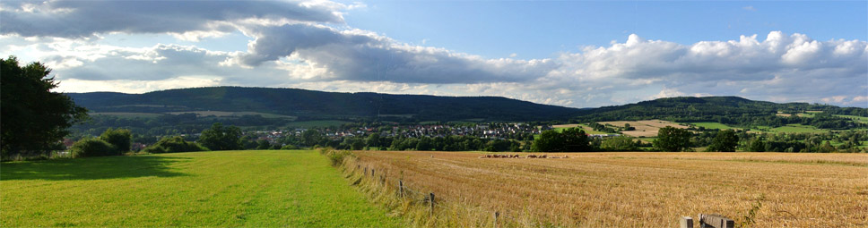 Steinau an der Straße