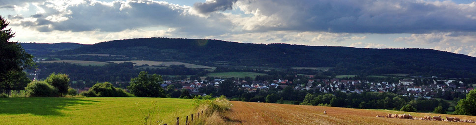 Steinau an der Straße