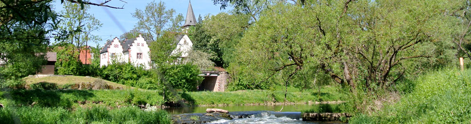 Schloss von Wolfsmünster