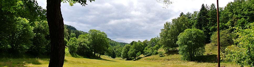 Inszenierung einer Spessartlandschaft 