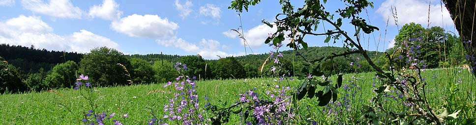 Spessartlandschaft bei Rieneck im Spessart