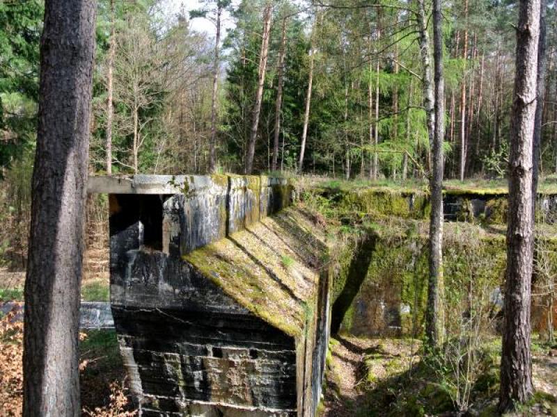 Reichsautobahn Strecke 46 | Spessart erleben