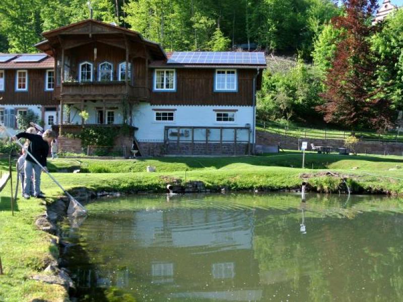 Forellenzucht Seewiese Spessart erleben