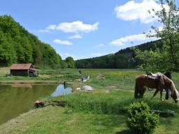 Fischteiche und Wiesen mitten im Ort von Heiligkreuz