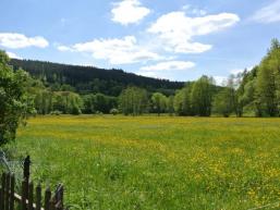 Die Schondra-Aue am Rand von Heiligkreuz