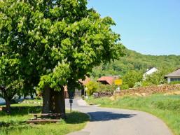 Ortseingang Schonderfeld am Radweg