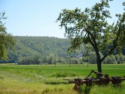 Malerisches Saaletal bei Wolfsmünster