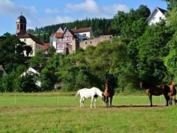 Stadt Rieneck vom Sinngrund gesehen