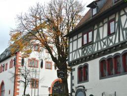 Rathaus von Steinau an der Straße