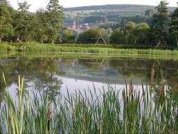 Der Parksee in Rieneck