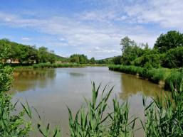 Angelsee in Burgsinn