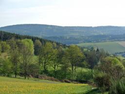 Wald und Wiesen rund um Aura