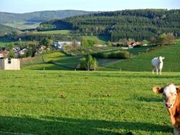 Fernblick über die Spessarthöhen Richtung Süden