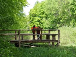 Kinder auf dem Steg des Wald- und Wassererlebnispfades von Rieneck