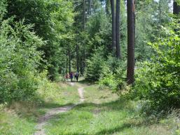 Wanderweg zum Kloster Einsiedel