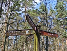 Wegweiser Birkenhainer Landstraße