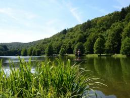 Spessart-Natur hautnah erleben