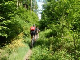 Im Sindersbachtal biken