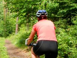 Schöne Mountainbikewege führen durch den Spessart