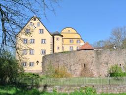 Das Schloss in Burgjoss