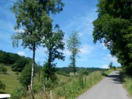 Flurweg zur Waldgemarkung Gresselwald